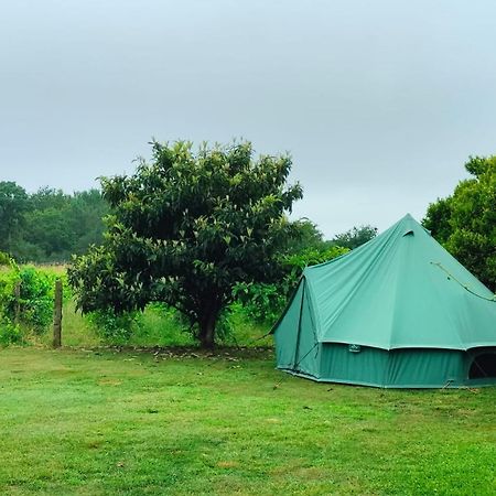 Quinta Da Teimosa Villa Monção Eksteriør billede
